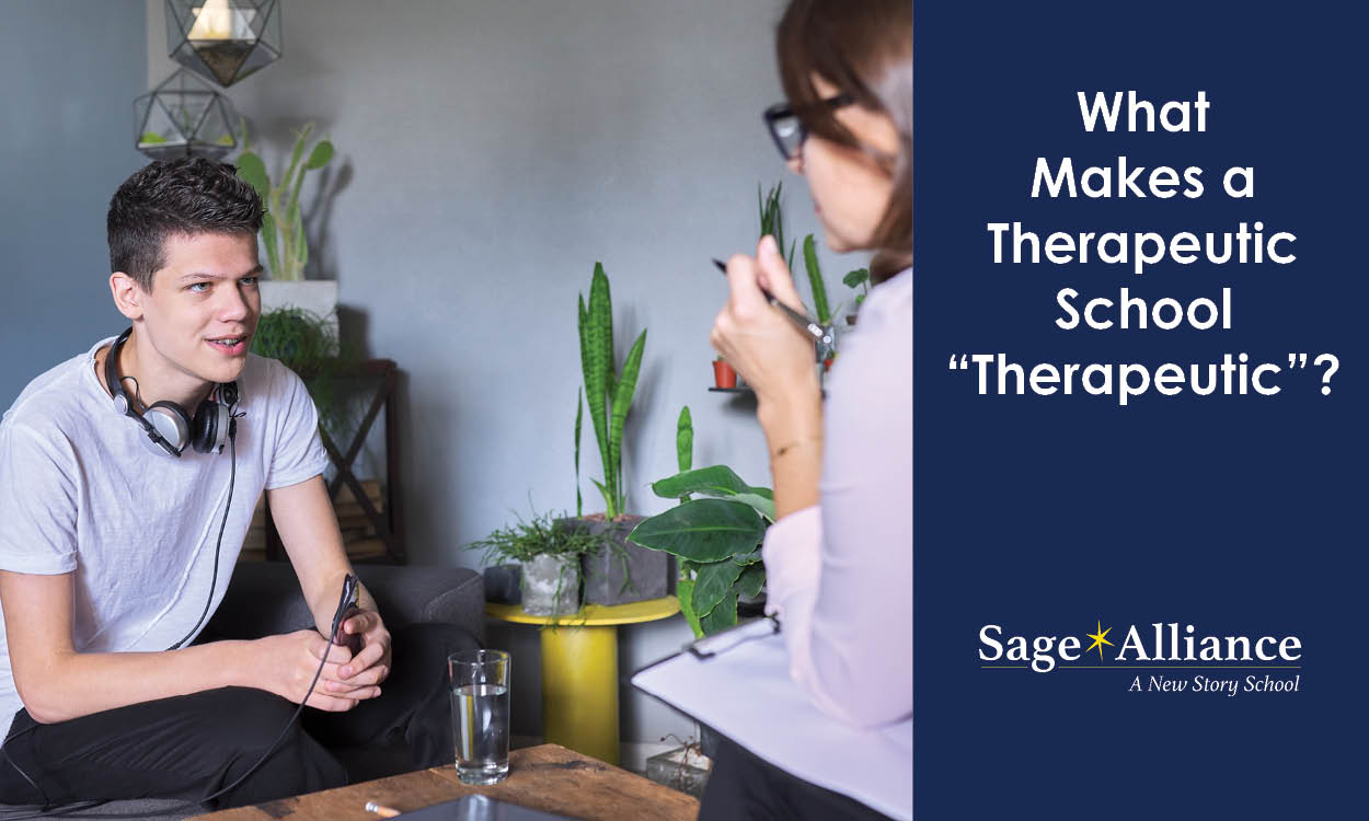 What Makes a Therapeutic School "Therapeutic"?